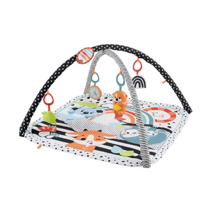 Fisher Price Γυμναστήριο Δραστηριοτήτων με Μουσική Πολύχρωμο για Νεογέννητα 76x76cm