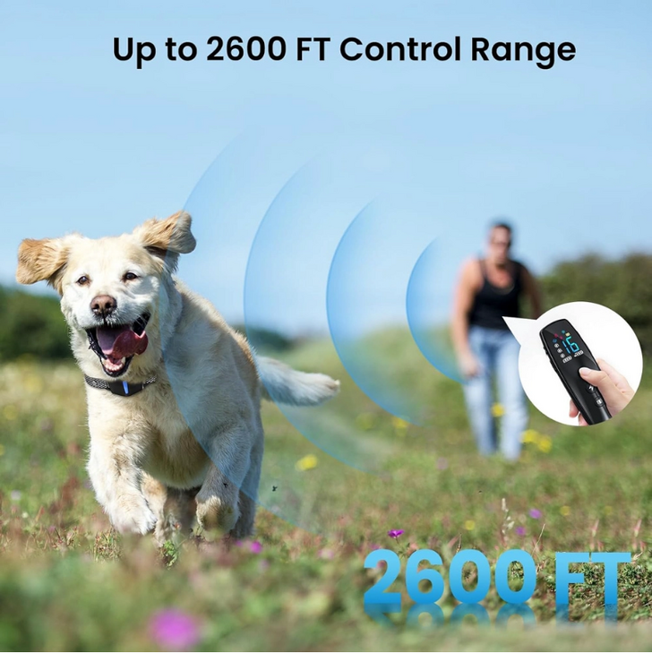 POWERTECH ηλεκτρικό κολάρο εκπαίδευσης σκύλου PT-1398 με ασύρματο χειριστήριο, εμβέλεια 800m